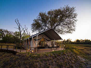 Little Machaba Camp: Luxury Tent Ansicht
