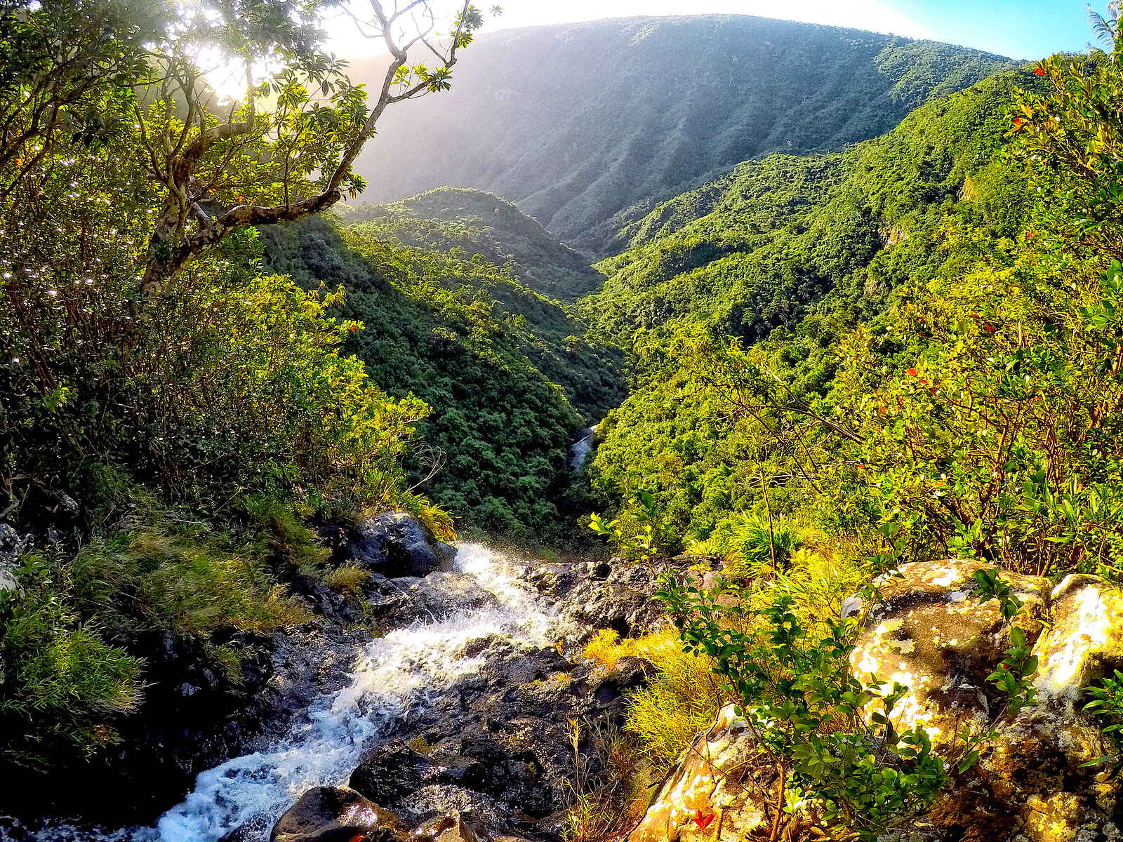 LUX Grand Baie: Die Landschaft LUX Grand Baie: Die Landschaft