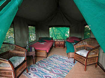 Mumbo Island Camp: Zeltinneres