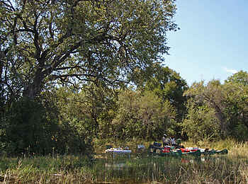 Selinda Canoe Trail: Lunchtime