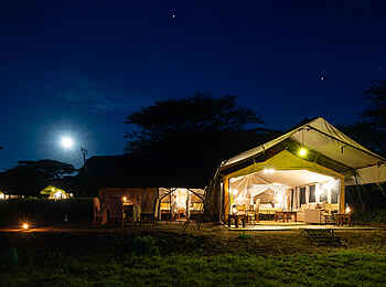 Serengeti Woodlands Camp: Family Tent Blick Ansicht