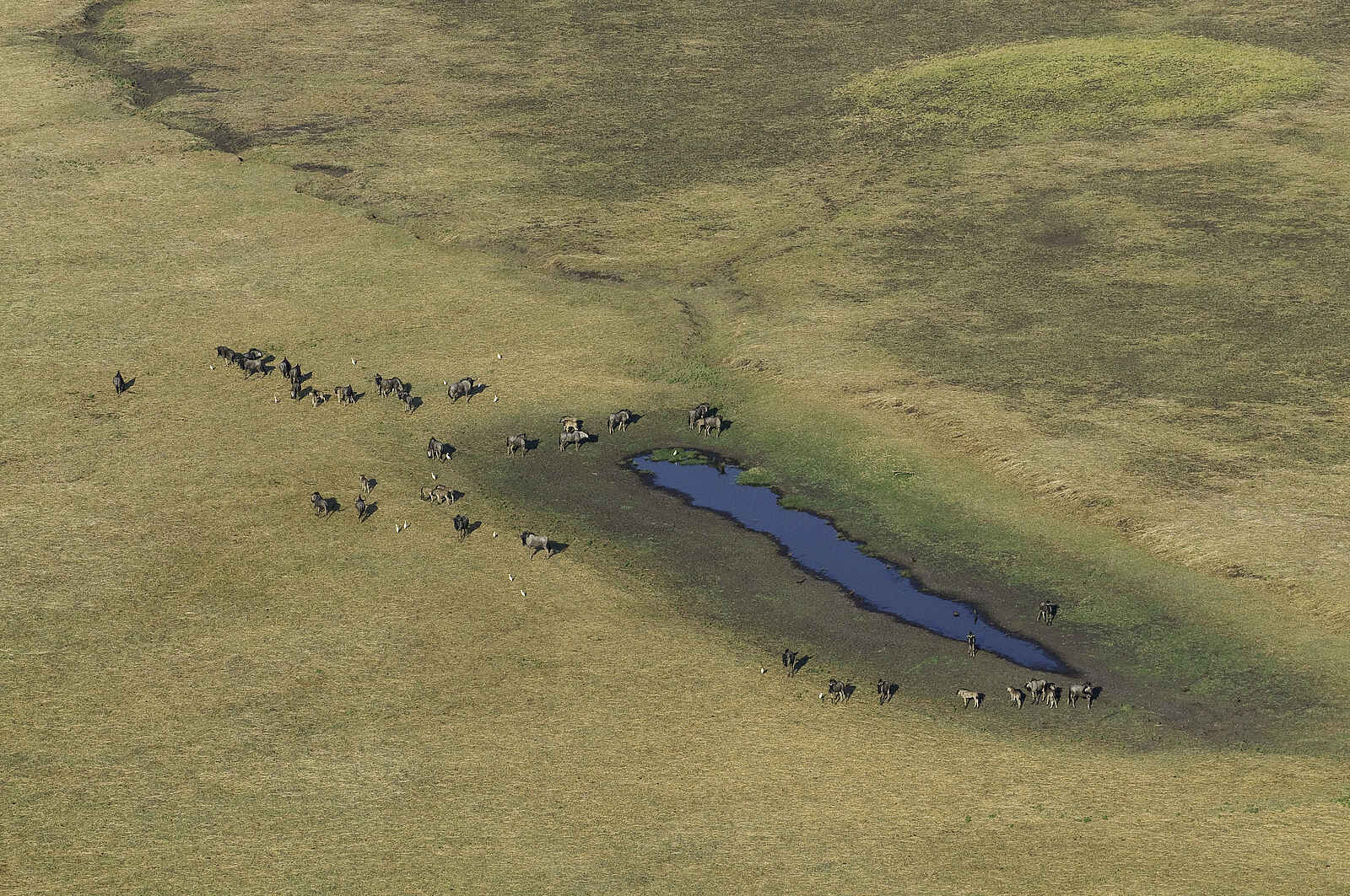 Shumba Camp: Wasserloch aus der Luft Shumba Camp: Wasserloch aus der Luft