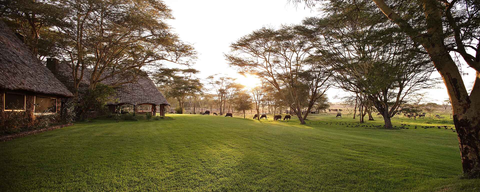 Kenia, lewa wildlife conservancy, sirikoi, Außenansicht, sirikoi house, afrikarma, afrikarma safaris, afrikarma safaris - wildnis. hautnah., afrikarma.de, kenya