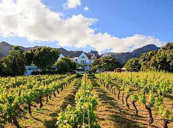 The Cellars-Hohenort Hotel & Spa: Im Weinberg The Cellars-Hohenort Hotel & Spa: Im Weinberg