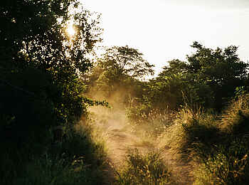 Chilo Ivory Trail Adventure: Buschland