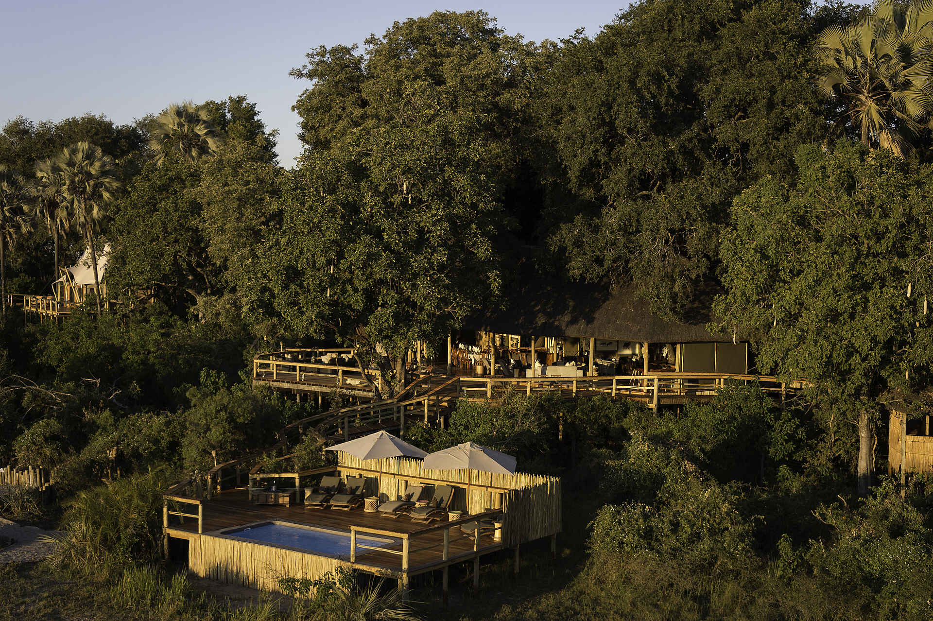 Kwetsani Camp: Blick auf Chalet und Swimmingpool Afrikarma, Afrikarma Safaris, Afrikarma Safaris - Wildnis. Hautnah., Afrikarma.de, Kwetsani Camp, Außendeck, Bäume, Liegestühle, Pooldeck, Sonnenschirme, Swimmingpool, Treehouse Chalet