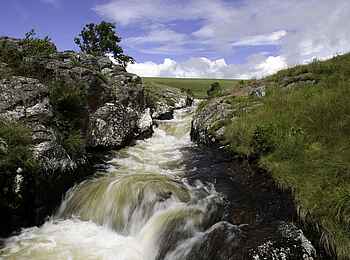 Chelinda Lodge: Wildbach