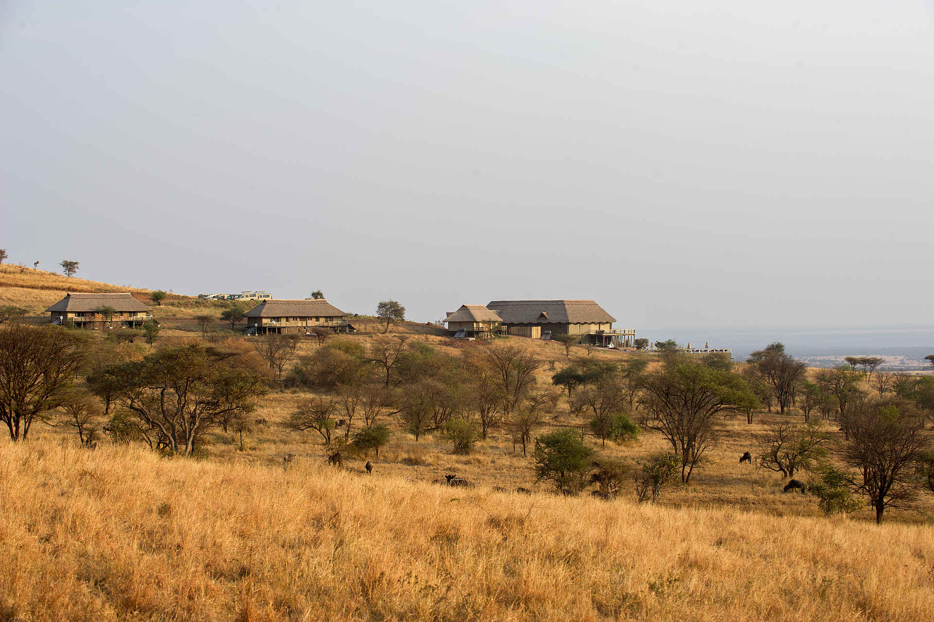 Kubu Kubu, Kubu Kubu Tented Camp, Serengeti, Tanganyika Wilderness Camps, Tansania, Ausblick, Camp, Ebene, Gästeunterkünfte, Haupthaus, Lage, Afrikarma, Afrikarma Safaris, Afrikarma Safaris - Wildnis. Hautnah., Afrikarma.de
