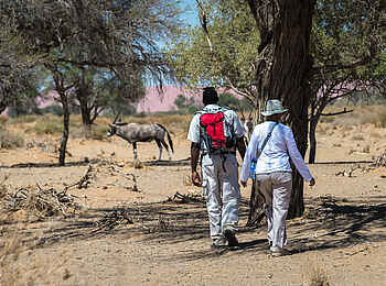 Little Kulala Lodge: Wandersafari mit Tierbegegnungen Little Kulala Lodge: Wandersafari mit Tierbegegnungen