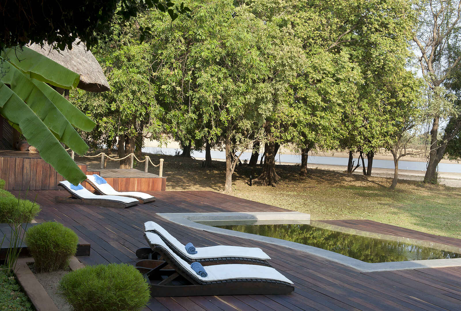 Luangwa River Camp: Am Pool Luangwa River Camp: Am Pool