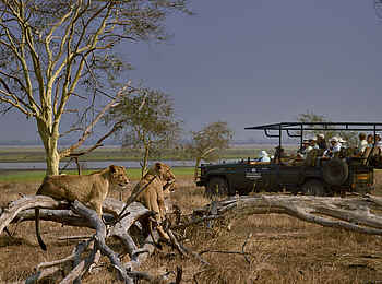 Mt Gorongosa Community Camp: Pirschfahrt Mt Gorongosa Community Camp: Pirschfahrt