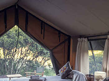 Porini Rhino Camp: Blick nach draußen