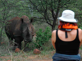 Waterberg Plateau Lodge: Nashorn-Beobachtung Waterberg Plateau Lodge: Nashorn-Beobachtung
