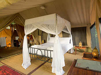 Sentinel Mara Camp: Gästezelt