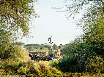 Singita Pamushana Lodge: Game Drive
