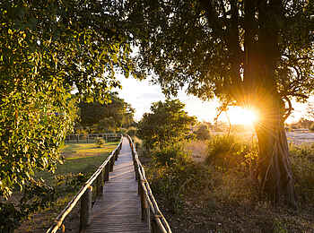 Amanzi Camp: Weg zu den Unterkünften Amanzi Camp: Weg zu den Unterkünften