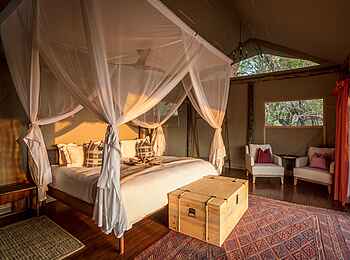 Amber River Camp: Gästezelt mit Doppelbett Amber River Camp: Gästezelt mit Doppelbett