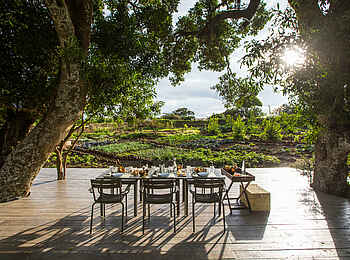 Angama Mara: Lunch in der Shamba Angama Mara: Lunch in der Shamba