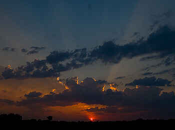 Leopard Lodge: Sonnenuntergang