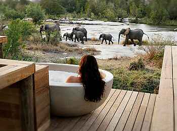 Londolozi Tree Camp: Bad und Elefanten