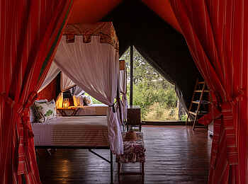 Mbamba: Das Zweibettzimmer im Familienzelt Mbamba: Das Zweibettzimmer im Familienzelt
