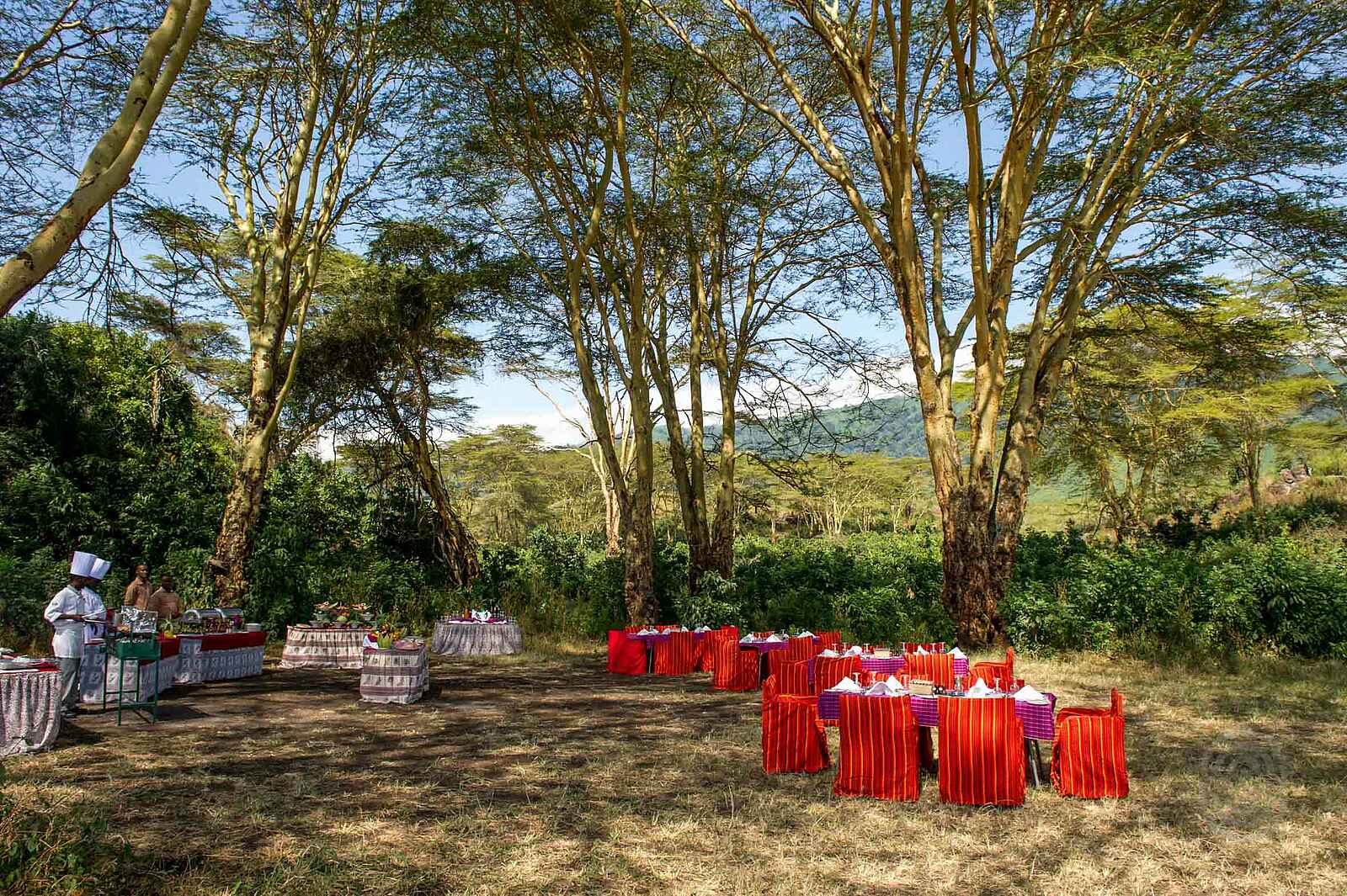 Ngorongoro Serena Safari Lodge: Bush Lunch Ngorongoro Serena Safari Lodge: Bush Lunch