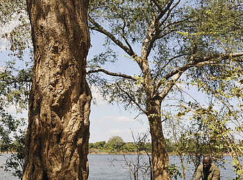 Tsika Island Canoeing Camp: Lunch unter einem Baum Tsika Island Canoeing Camp: Lunch unter einem Baum