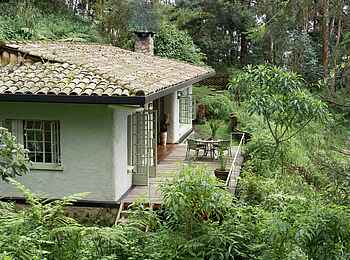 Wilderness Sabyinyo: Blick auf das Familien Cottage Wilderness Sabyinyo: Blick auf das Familien Cottage