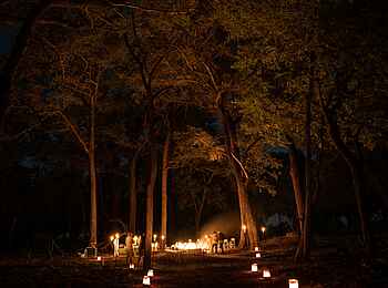 4 Rivers Camp: Dinner im Busch 4 Rivers Camp: Dinner im Busch