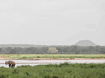 Chilo Ivory Trail Adventure: Elefant am Runde-Ufer