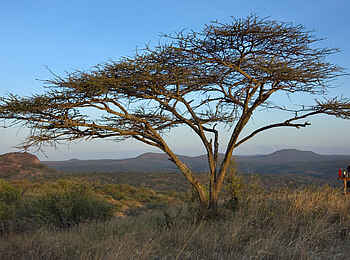 Ol Malo: Privates Dinner