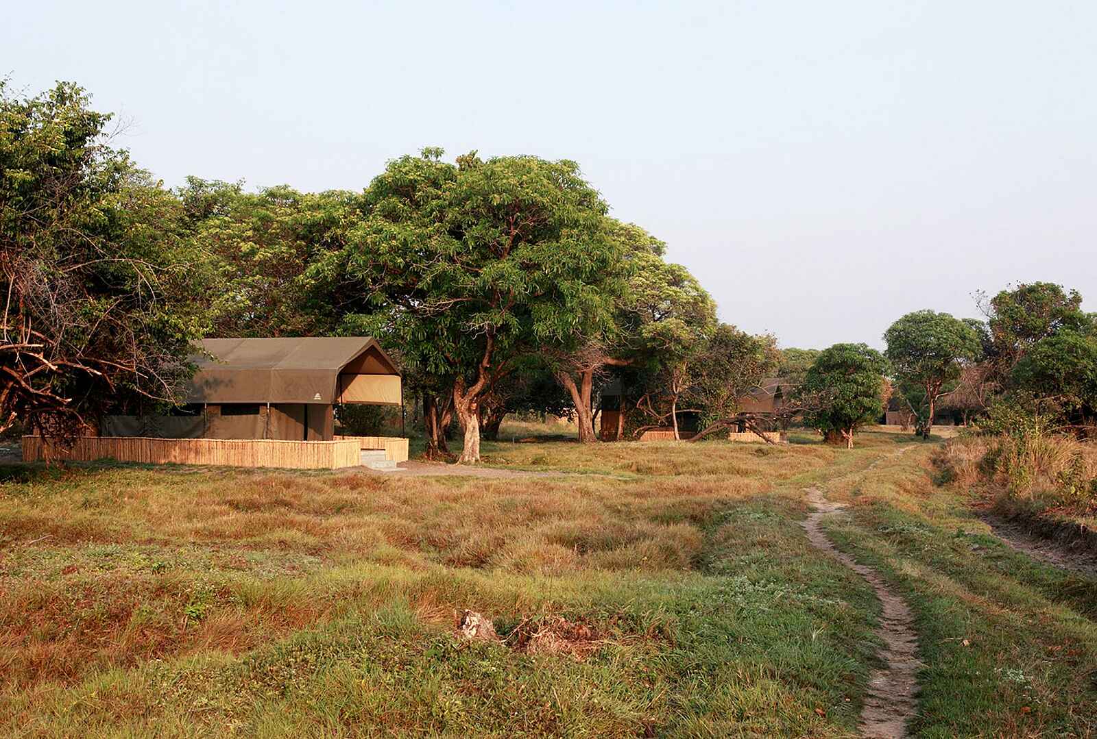 Shoebill Island Camp: Zelte unter Bäumen Shoebill Island Camp: Zelte unter Bäumen