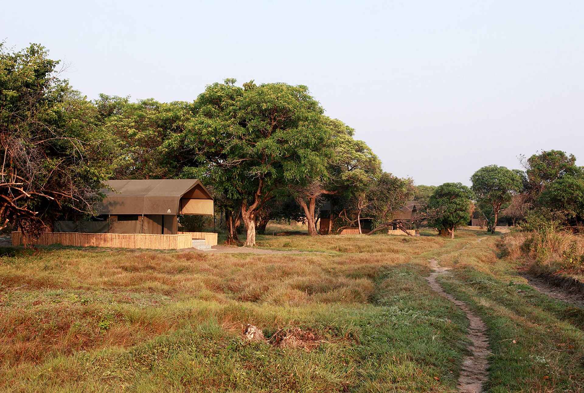 Shoebill Island Camp: Zelte unter Bäumen Africa, afrikarma, Afrikarma.de, Bangweulu Swamps, birds, fishing, Kasanka Trust, Luapula, Gästezelt, reeds, Robin Pope, Schuhschnabel, Shoebill, Shoebill Island Camp, sustainable development, wetland