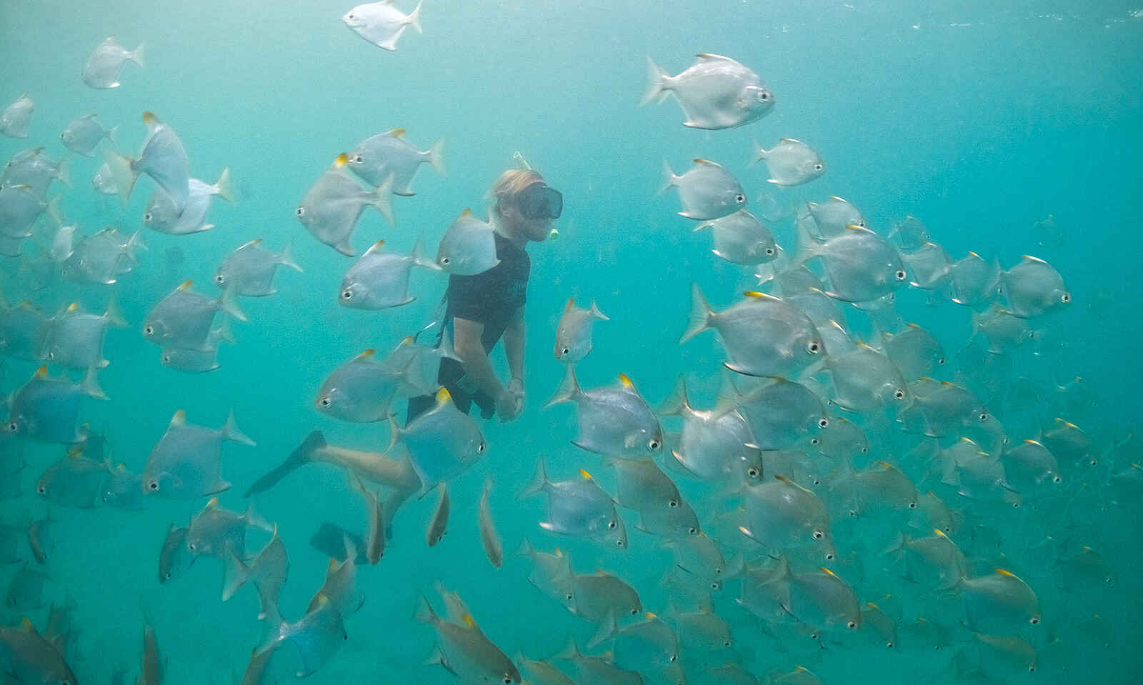 Time + Tide Miavana: Tauchgang Time + Tide Miavana: Tauchgang