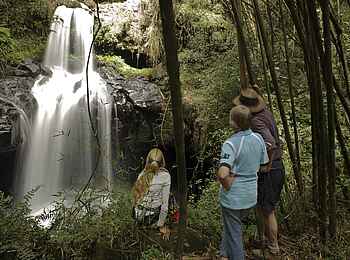 Bale Mountain Lodge: Gäste an einem Wasserfall Bale Mountain Lodge: Gäste an einem Wasserfall