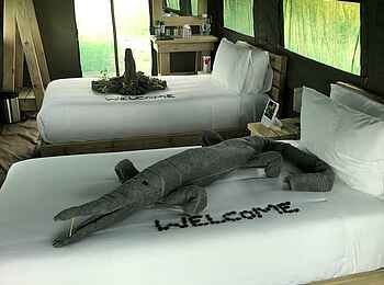 Great Tsau Hill Camp: Zeltinneres Great Tsau Hill Camp: Zeltinneres