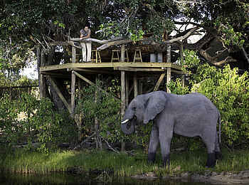 Little Tubu: Elefant unterhalb der Bar des Hauptgebäudes Little Tubu: Elefant unterhalb der Bar des Hauptgebäudes