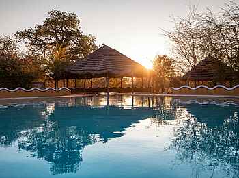 Planet Baobab: Am Pool Planet Baobab: Am Pool