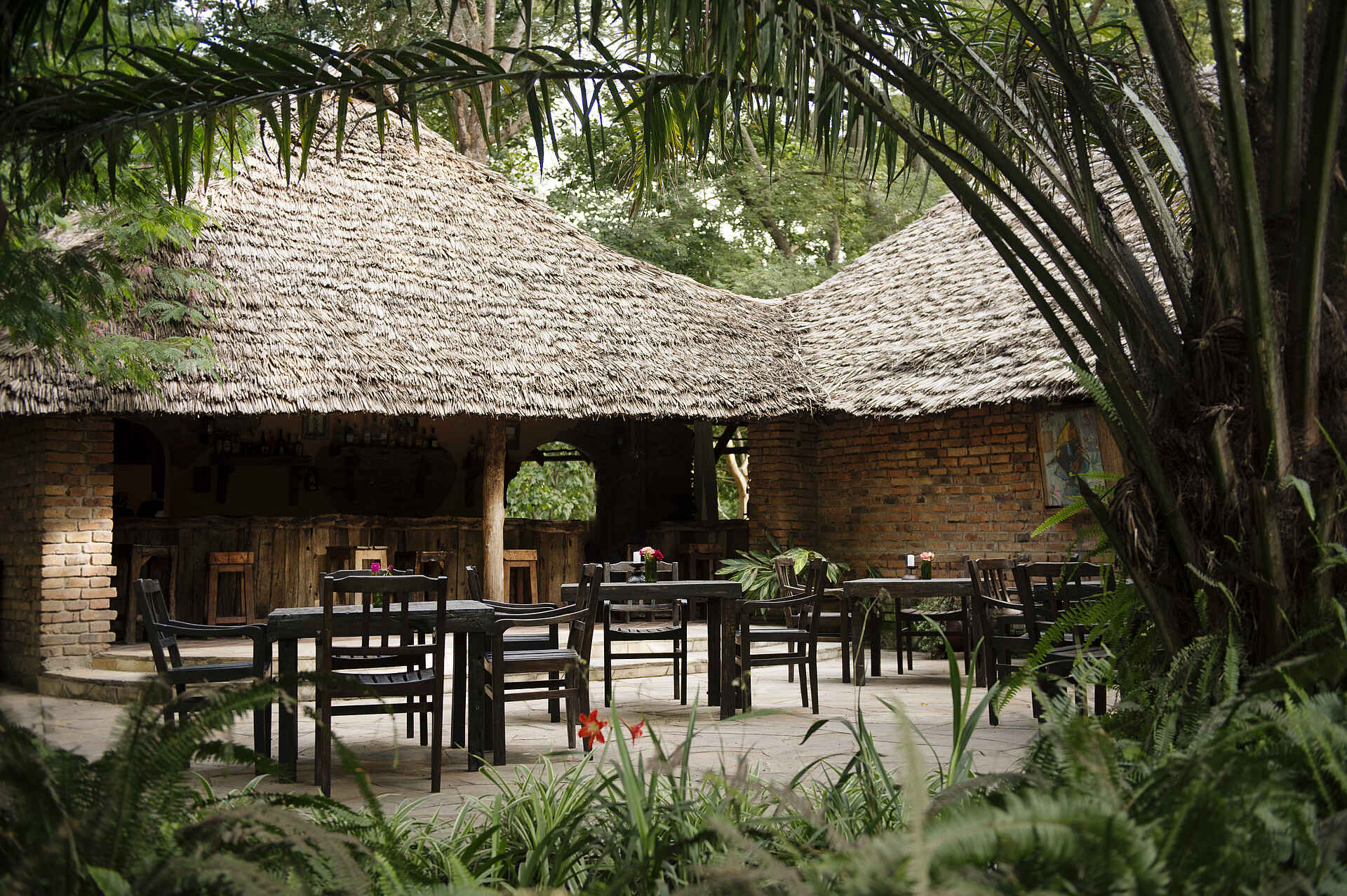 Arusha, Arusha Nationalpark, Rivertrees, Rivertrees Country Inn, Ambient, Bar, Design, Natur, Afrikarma, Afrikarma Safaris, Afrikarma Safaris - Wildnis. Hautnah., afrikarma.de
