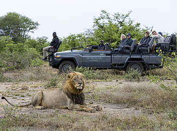 Simbavati Waterside Lodge: Game Drive