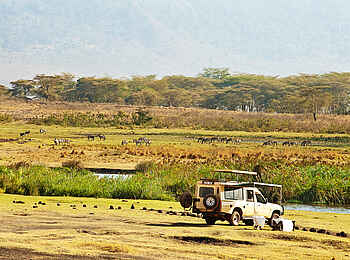 The Manor at Ngorongoro: Ngorongoro-Picknick