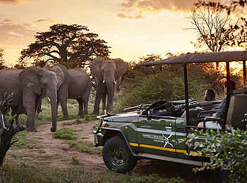 Victoria Falls Hippo Creek Villa: Hautnahe Begegnung mit Elefanten bei einer Pirschfahrt