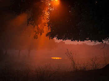 Chikwenya Camp: Lichtspiel