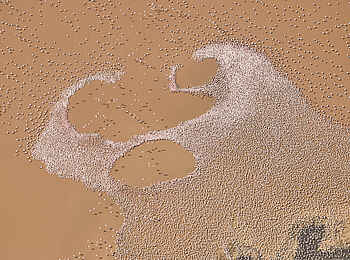 Koros Camp: Tausende Flamingos aus der Luft