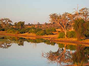 Chobe Elephant Camp: Chobe River Chobe Elephant Camp: Chobe River