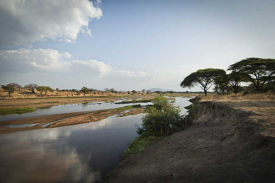 Kigelia Camp: Flusslandschaft Kigelia Camp: Flusslandschaft