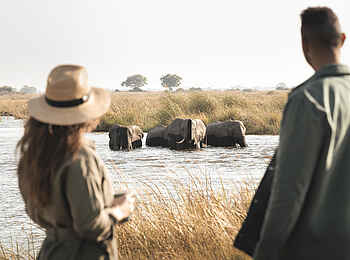 Kings Pool Camp: Walking Safari