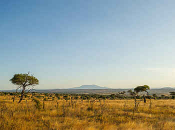 Kuro Tarangire: Weite Landschaft Kuro Tarangire: Weite Landschaft
