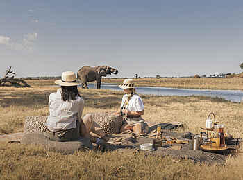 Little Mombo Camp: Busch Picknick