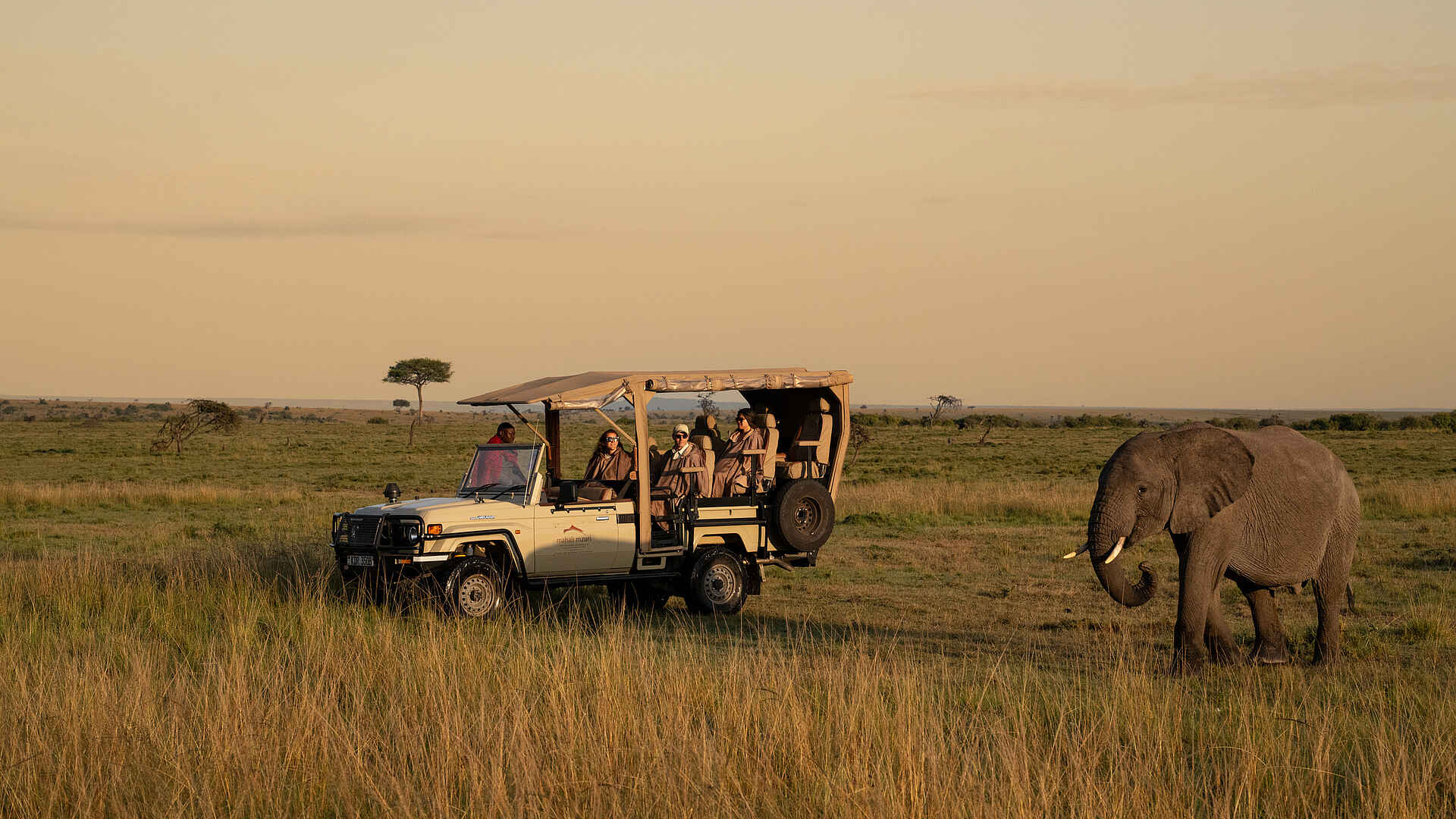 Mahali Mzuri: Elefant beobachten auf Pirschfahrt